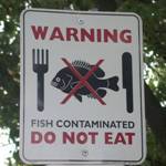 NC_do_not_eat_fish_rdax_150x150.jpg